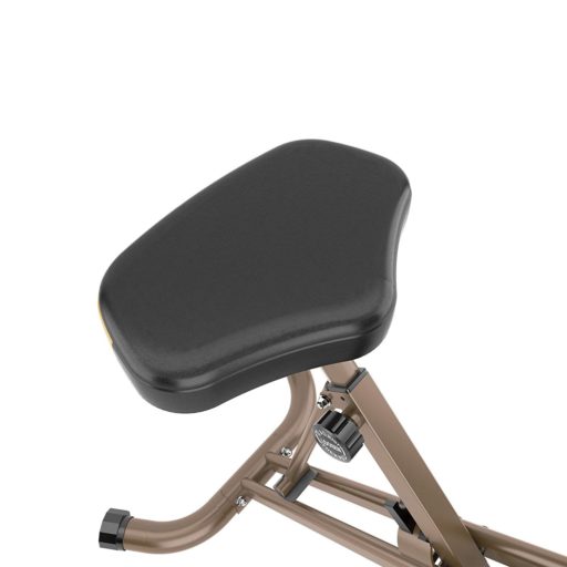 Exerpeutic Gold 500 XLS
