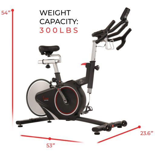 Sunny Indoor Cycling Bike SF-B1709