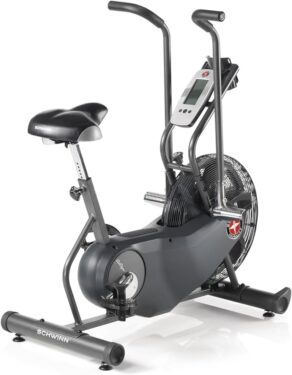 Schwinn Airdyne AD6