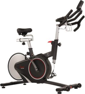 Sunny Indoor Cycling Bike SF-B1709