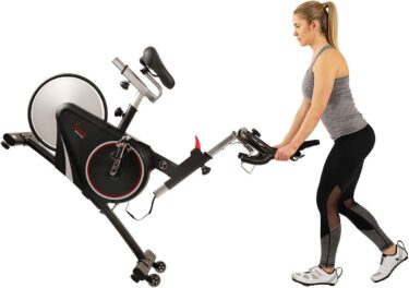 Sunny Indoor Cycling Bike SF-B1709