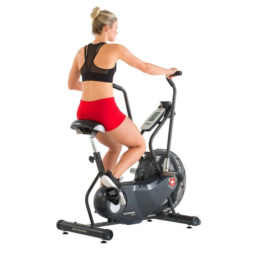 Schwinn Airdyne AD6 Exercise Bike