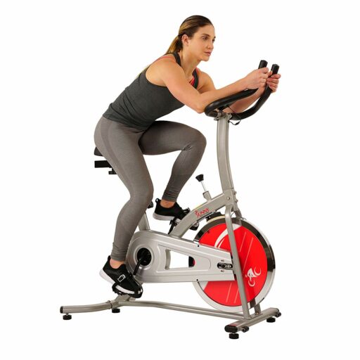 Sunny SF-B1203 Indoor Exercise Bike