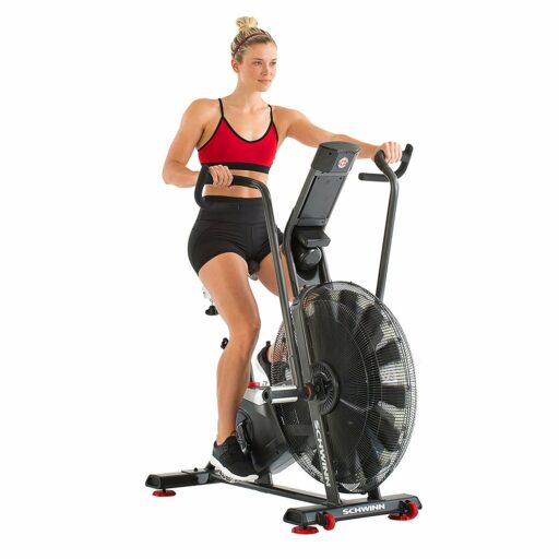 Schwinn Airdyne AD7 Bike