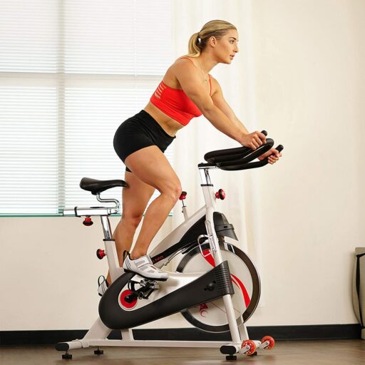 Sunny SF-B1509 Indoor Cycling Bike