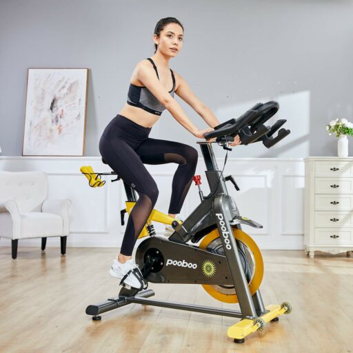 L NOW LD-501 Indoor Cycling Bike