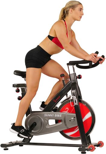 walmart sunny spin bike