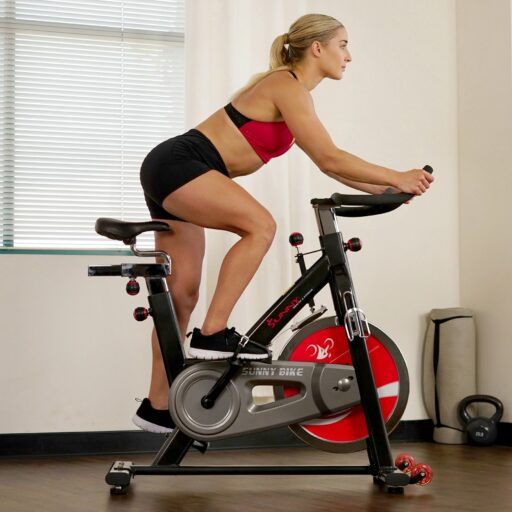 Sunny SF-B1002C Indoor Cycling Bike