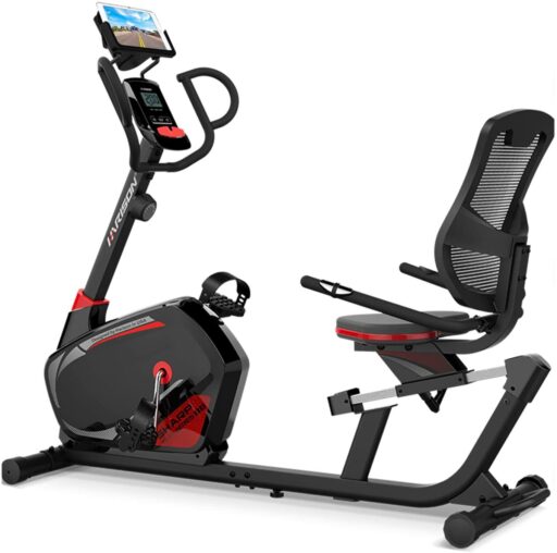 HARISON B8 Recumbent Bike