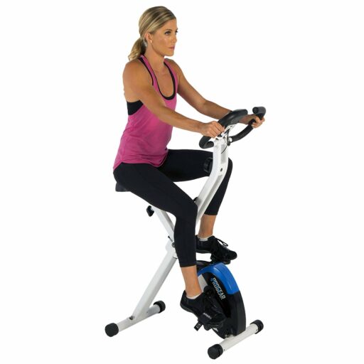 ProGear 225 Folding Upright Bike