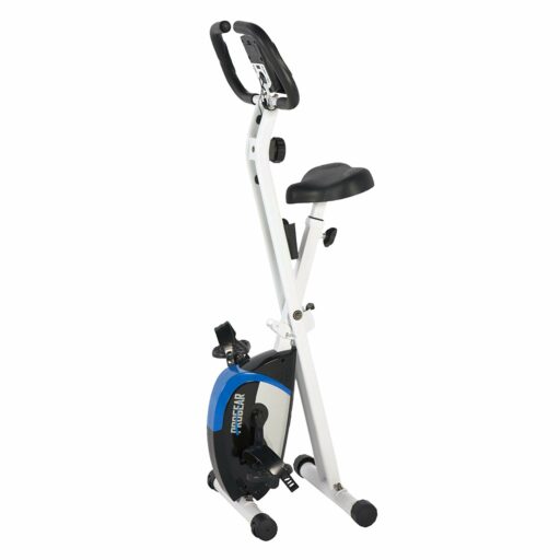 ProGear 225 Folding Upright Bike