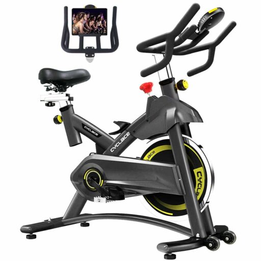 Cyclace Indoor Cycling Bike