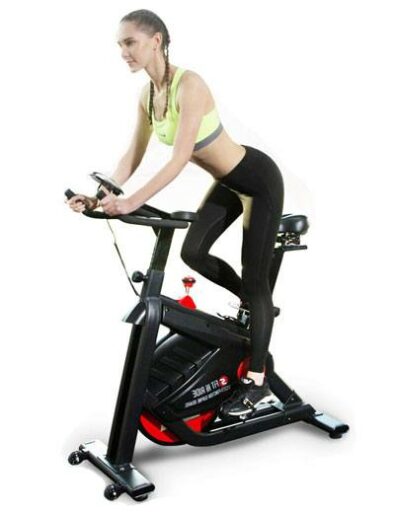 snode exercise bike