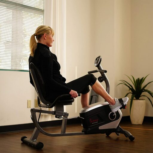 Sunny SF-RB4616 Recumbent Bike