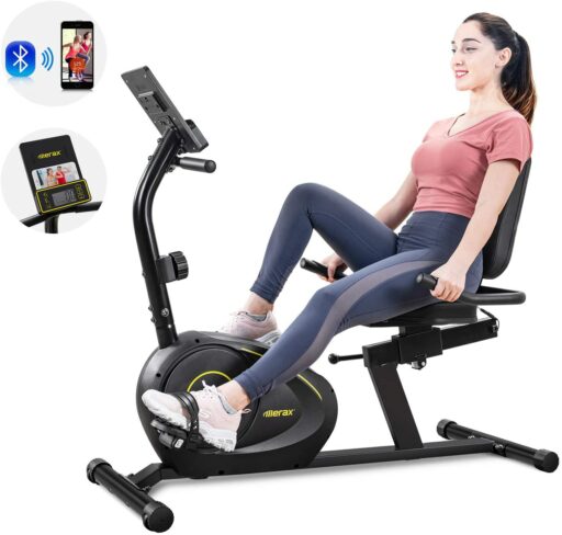 Merax RB1020 Recumbent Bike