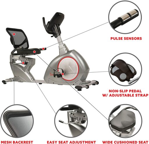 Sunny SF-RB4880 Recumbent Bike