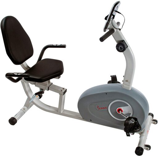 Sunny SF-RB4905 Recumbent Bike