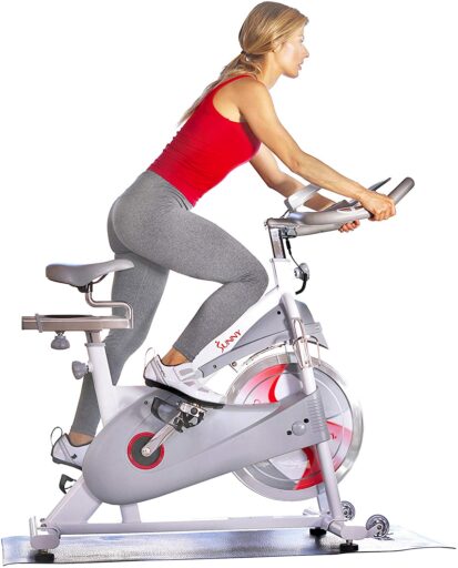 Sunny Indoor Cycling Bike SF-B1876