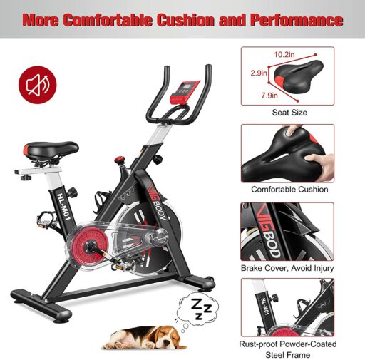 VIGBODY HL-M01 Indoor Cycling Bike