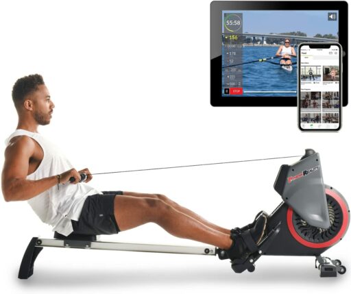 Fitness Reality 2646D Fan Rower