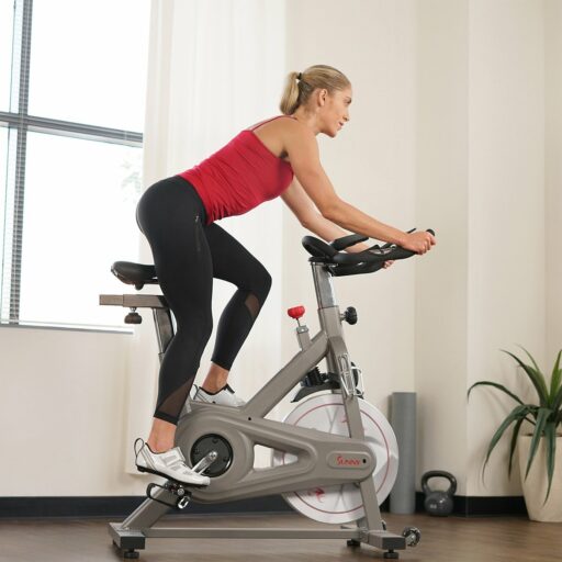 Sunny SF-B1851 Pro Indoor Cycling Bike