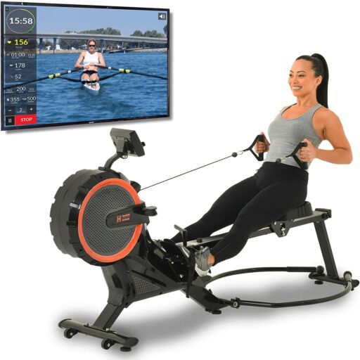 WHMH 1678 Dual Handle Rower