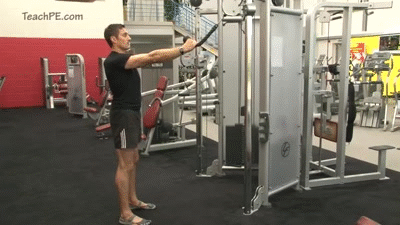 face pulls