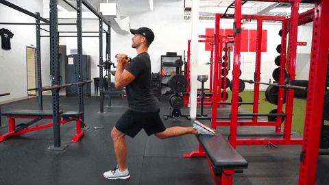 Bulgarian Split Squat Targets the Quad Muscles - Exercising Specific Muscle Groups