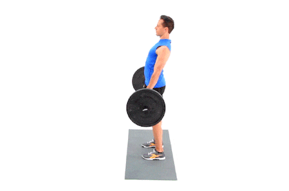 Romanian Deadlift Targets the Hamstrings - Exercising Specific Muscle Groups