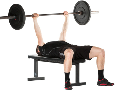 Barbell Bench Press Targets the Pectorals - Exercising Specific Muscle Groups