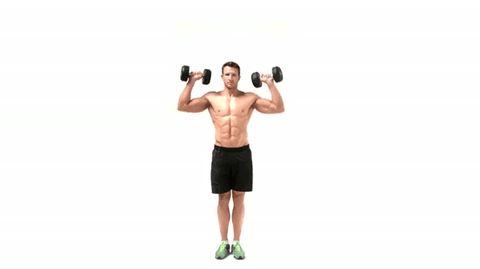 Overhead Press Targets the Delts - Exercising Specific Muscle Groups
