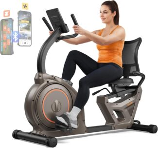 Niceday RC88 Recumbent Bike