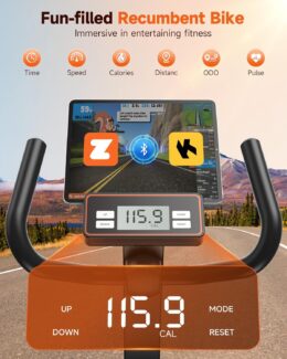 Niceday RC88 Recumbent Bike