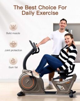 Niceday RC88 Recumbent Bike