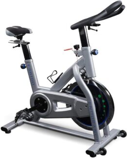 Endurance ESB150 Indoor Bike