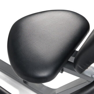 Sunny SF-B4616S Recumbent Bike