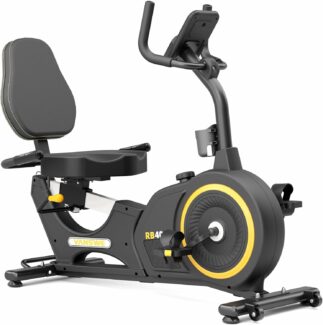 VANSWE RB405 Recumbent Bike