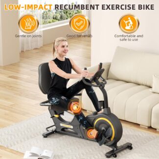 VANSWE RB405 Recumbent Bike