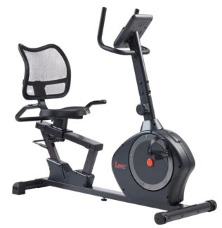 Sunny SF-RB424002 Recumbent Bike