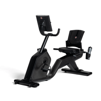 Schwinn 290 Recumbent Bike
