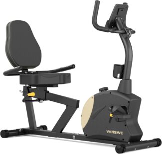 VANSWE RB406 Recumbent Bike