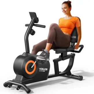 FED Fitness RE1 Recumbent Bike
