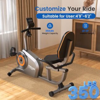 FED Fitness RE1 Recumbent Bike