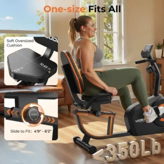 FED Fitness RE1 Recumbent Bike