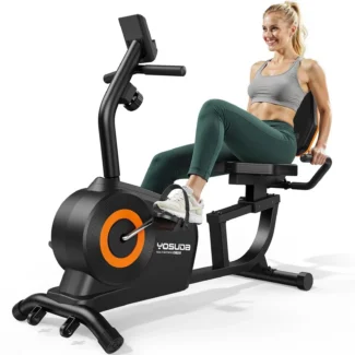 FED Fitness RE1 Recumbent Bike
