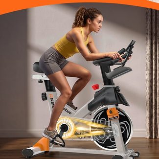 pooboo D525X Exercise Bike